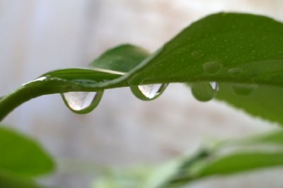 Gota de agua