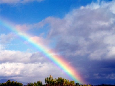 Ein Regenbogen