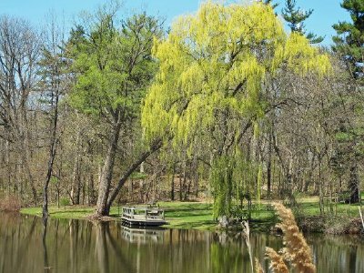 美國密歇根州奧本山公園