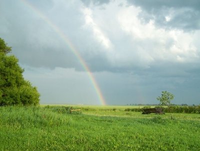 Regenbögen