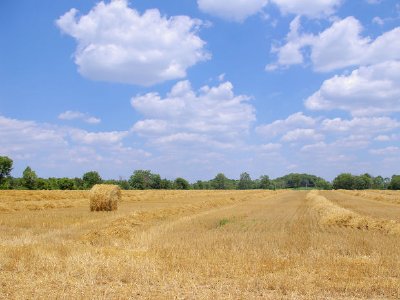 Hay and Clouds, Ohio, EUA