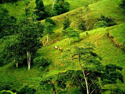 Paisaje, costa rica