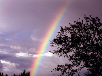 Rainbow jigsaw puzzle