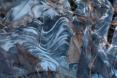 Winter Texture