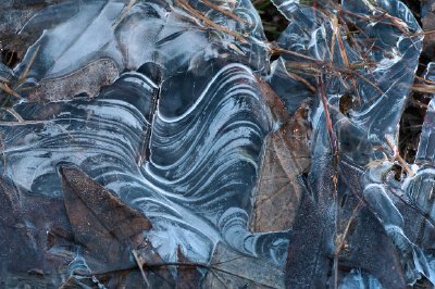 Texture d'hiver