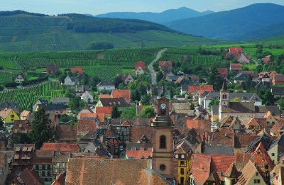 Vineyard, France jigsaw puzzle