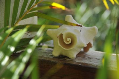 Décoration de jardin