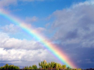 Um arco-íris nos céus