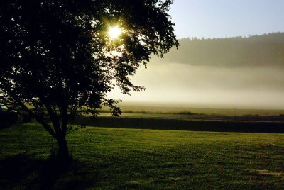 Route de campagne et brume