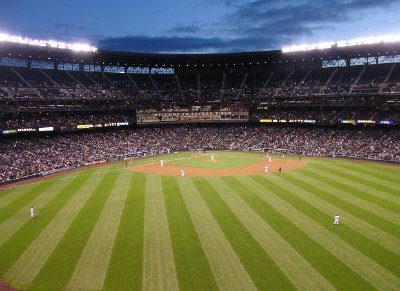 Baseball field jigsaw puzzle