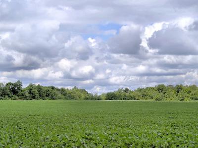 Paysage de ferme