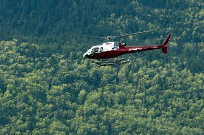 Hubschrauber über einem Wald