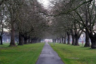 Christchurch, Nueva Zelanda