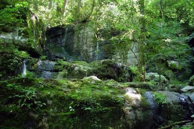 Cachoeira na floresta