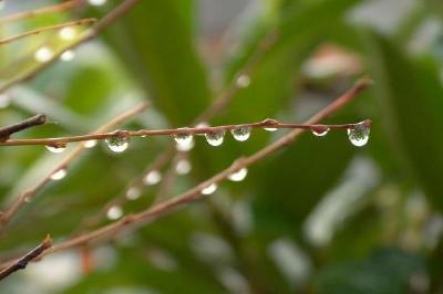 Gotas de água