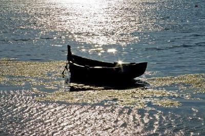 A boat in the ocean