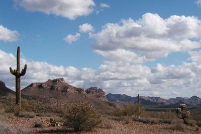 Desert scene jigsaw puzzle