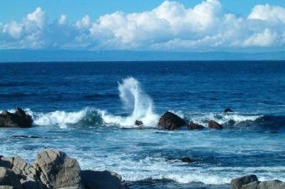 Ondas perto da costa