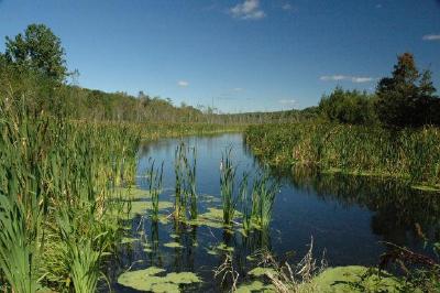 Le long de la rivière