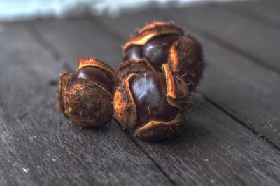 Chestnuts