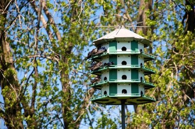 Bird House jigsaw puzzle