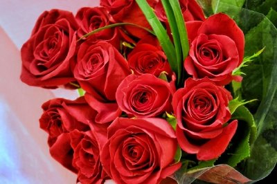 Red Roses jigsaw puzzle