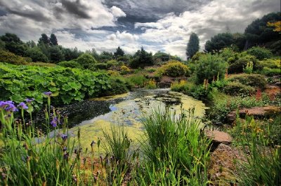 Un jardín botánico