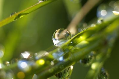 Goccia d'acqua