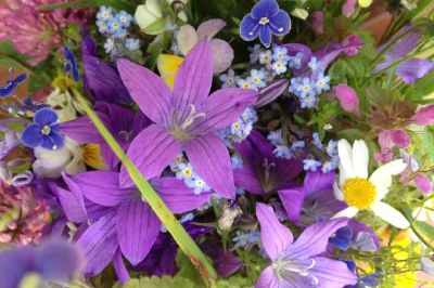 Bouquet de fleurs