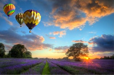 Hot air balloons