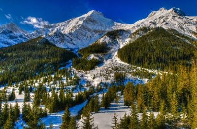 De kanadensiska Klippiga bergen, Alberta, Kanada