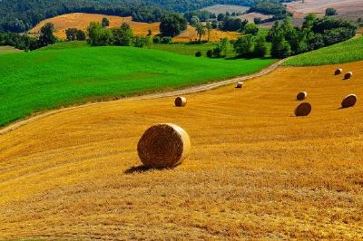 Paisaje de Toscana, Italia