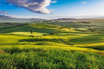 Grünes Tal, Toskana, Italien