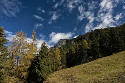 Montanhas azuis e árvores verdes