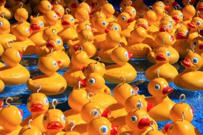 ゴム製のアヒル