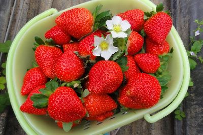 Panier de fraises