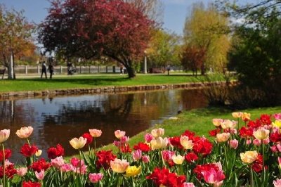 Printemps dans le parc