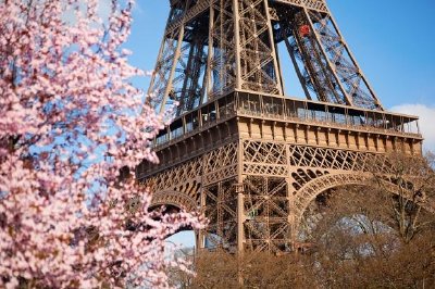 Spring in Paris jigsaw puzzle