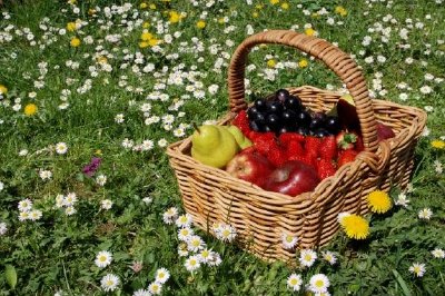 Basket Full of Fruits