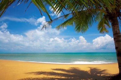 Vista sulla spiaggia tropicale