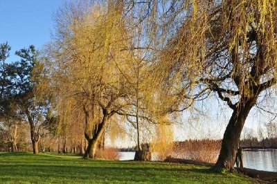 Parco in riva al fiume