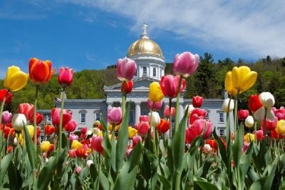 Montpelier Capital Building, Virginia, Stati Uniti d'America