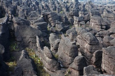 Paesaggio del Monte Roraima