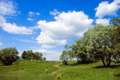 Camino rural en verano