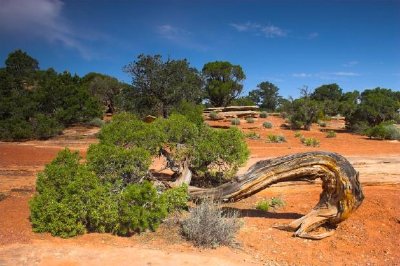 Colorado National Monument jigsaw puzzle