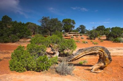 Monumento Nacional de Colorado