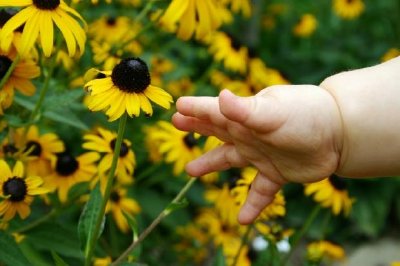 Reaching Out jigsaw puzzle