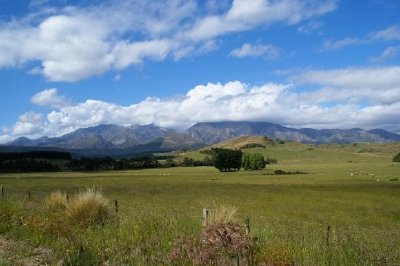 南島の牧草地、ニュージーランド