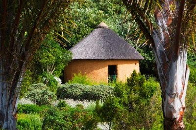 Hut in Botanical Garden