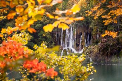 Cascade dans le feuillage